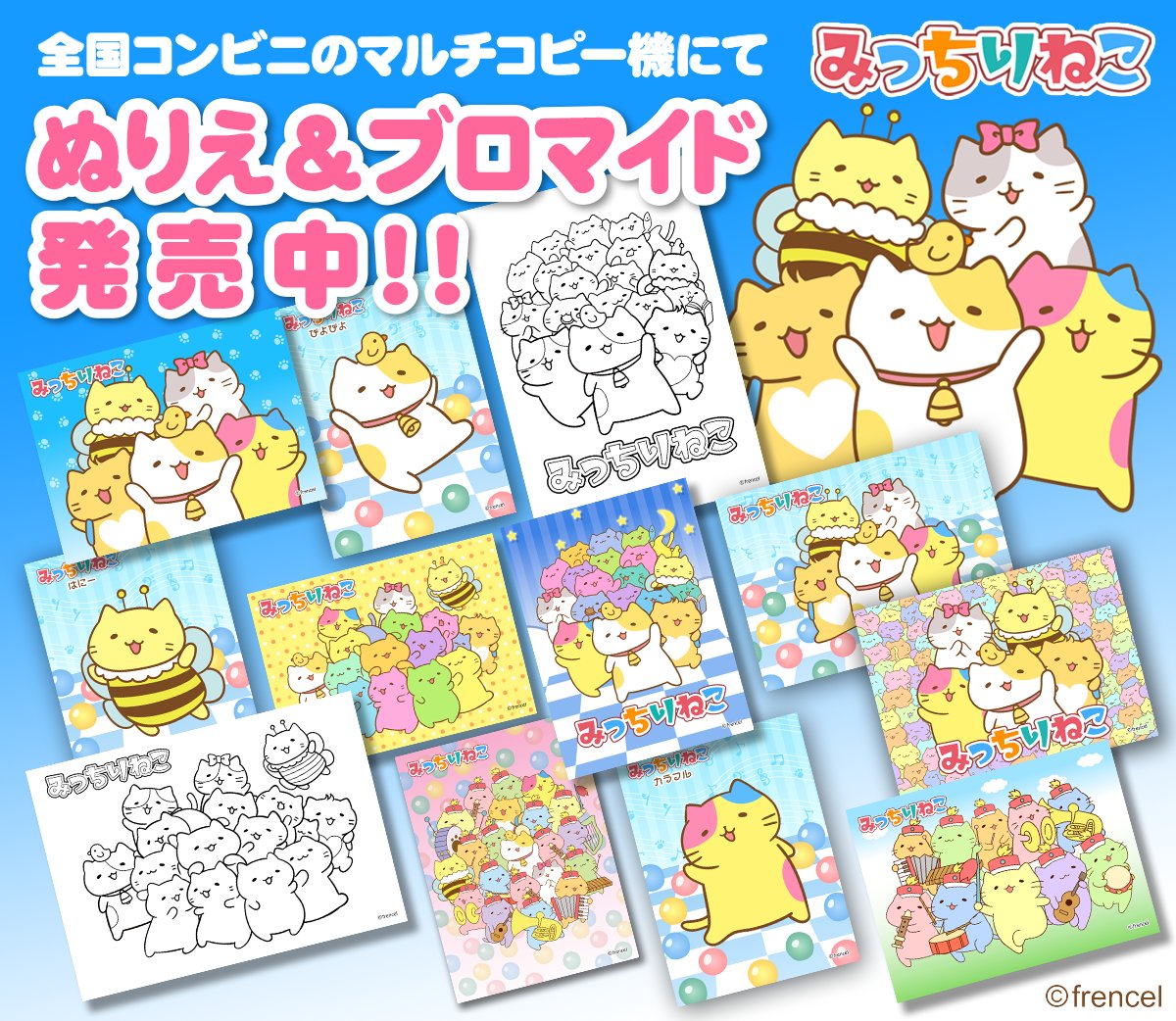 りとねこ ブロマイド L版ランダムブロマイド「悪魔執事と黒い猫」【BOX02