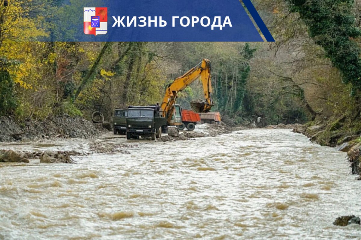 Администрация Сочи tweet media