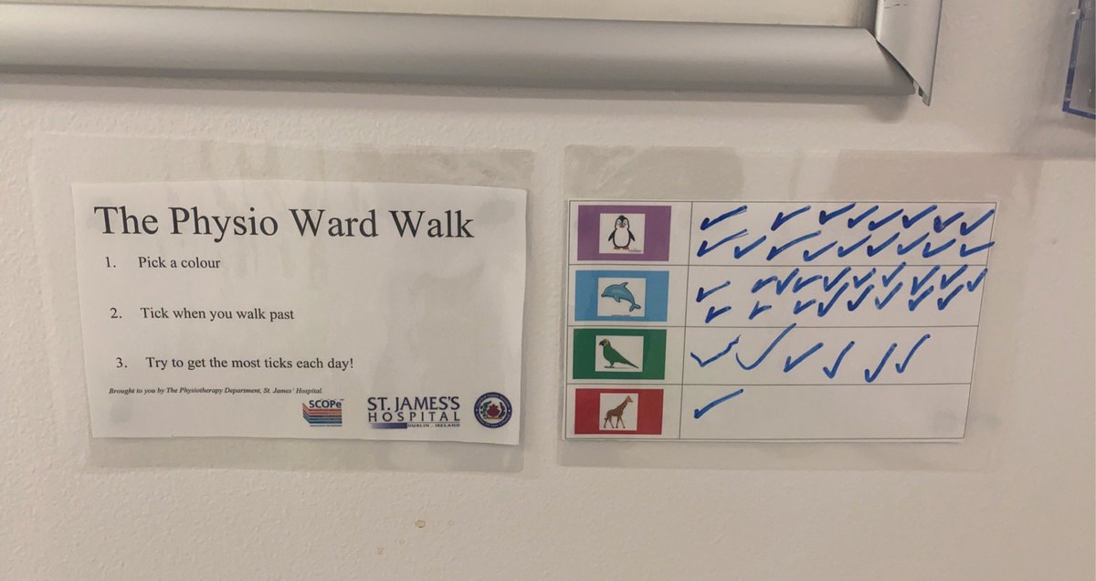 MaddenLaura's tweet photo. A huge well done to @SegunBa27, one of our final year students, for his update to our #physiowardwalk board on Houston Ward. Patients are showing us theyre determination to #getupgetdressedgetmoving with all those ticks! @niamhphysio @stjamesdublin @LillianHayes91 https://t.co/CYPs0TUWwl
