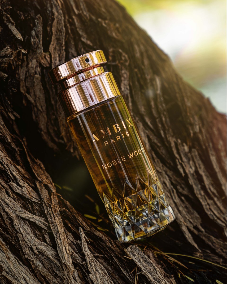 AmbixPerfumes's tweet photo. المزيج الشتوي الساحر من الزهور الحارة و العود و العنبر 
#ambixparis
#winter https://t.co/YGQDDdEKXW