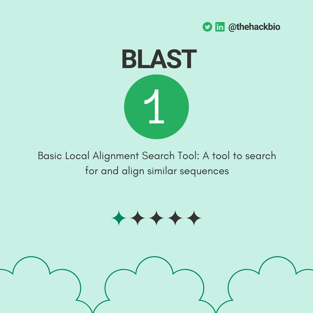 TheHackbio's tweet image. The NCBI is not just a database, it is a suite of bioinformatics tools as well.
See some interesting tools we think you can start using. Tell us about other tools you have used on NCBI🤔
#NCBI #Bioinformaticstools #Bioinformaticshelp #databases