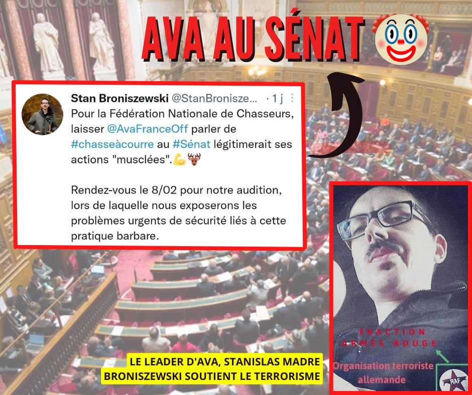 ChasseDva's tweet image. Mardi, le collectif @AvaFranceOff était auditionné au @Senat sur le thème de la sécurité à la chasse. Nous avons écouté attentivement l'audition et voici ce que nous en avons retenu. Thread ⬇️

@P_Chaize @sophieprimas @fnb_officiel