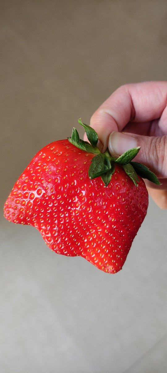 Dude, I ordered a strawberry and not a video game controller or <a href="/discord/">Discord</a>'s logo!