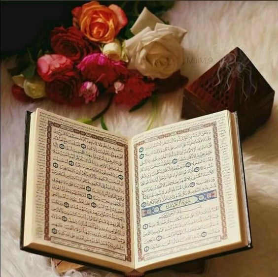 WithMuhamad's tweet photo. "الله التواب

""التواب""...الذي لم يزل يتوب على التائبين، ويغفر ذنوب المنيبين؛ فكل من تاب إلى الله توبة نصوحًا تاب الله عليه؛ فهو التائب على التائبين أولًا بتوفيقهم للتوبة والإقبال بقلوبهم عليه🌸🍂🌸

اقرا المزيد
https://t.co/n5azlKZjQm https://t.co/dyvZZY7jJq