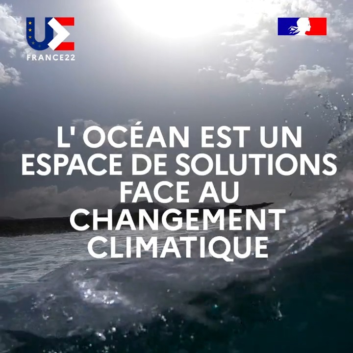 Tweets With Replies By Marjorie Hagobian Marjoryhagobian Twitter