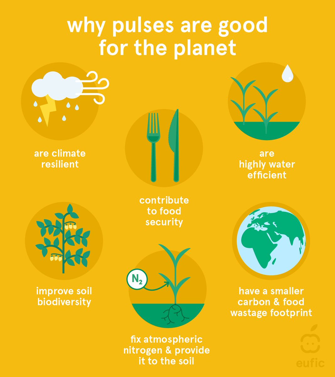 European Food Information Council (EUFIC) tweet media