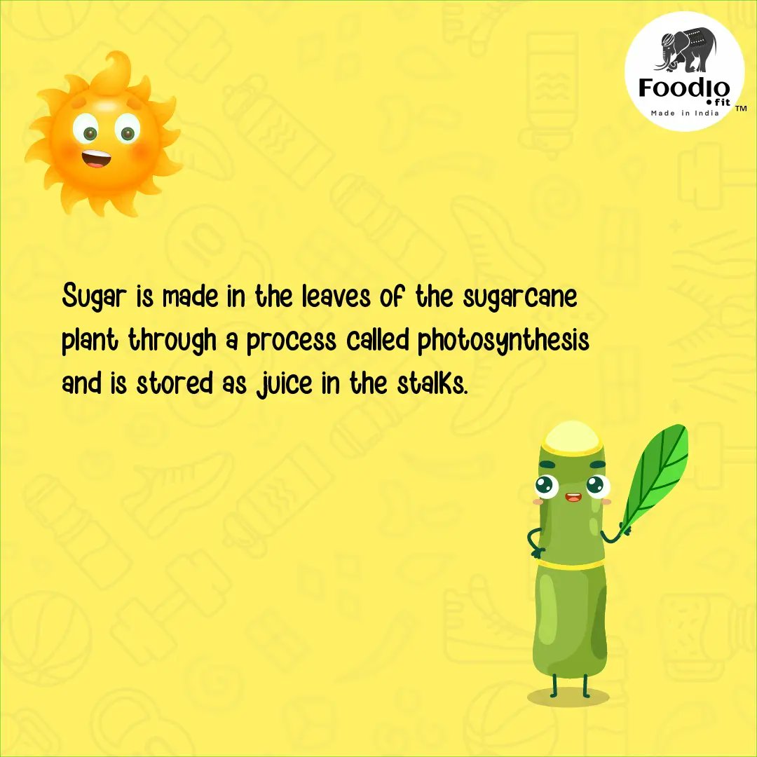 Foodiofit's tweet photo. Story of Sugarcane Juice

Order https://t.co/yd44TDmsJB Sugarcane juice now
at https://t.co/yljoR6jEQF

#foodioforlife #foodiofit #sugarcanejuice #healthybrand #eathealthy #drinkhealthy #sugarcane #newproduct #madeinindia #happyhealthybinging #shopatfoodiofit https://t.co/wu8eoj8dLI