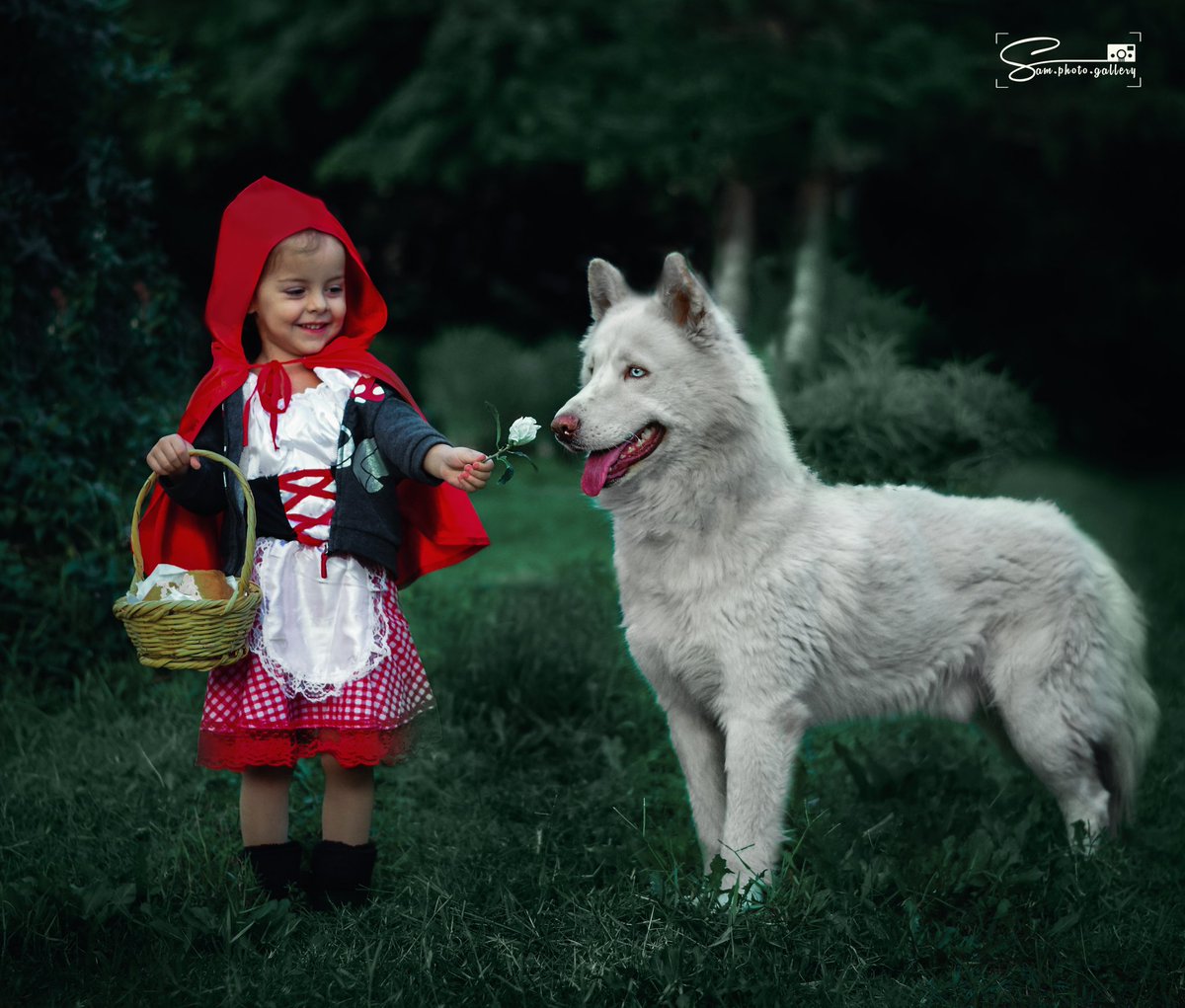 1993Samo's tweet photo. Ayla and the wolf
#photooftheday #photo #photography #photographer #photographer #child_photography #fineart #green #red #wildlife #syria #سوريا https://t.co/TlMI9Ft7Cw