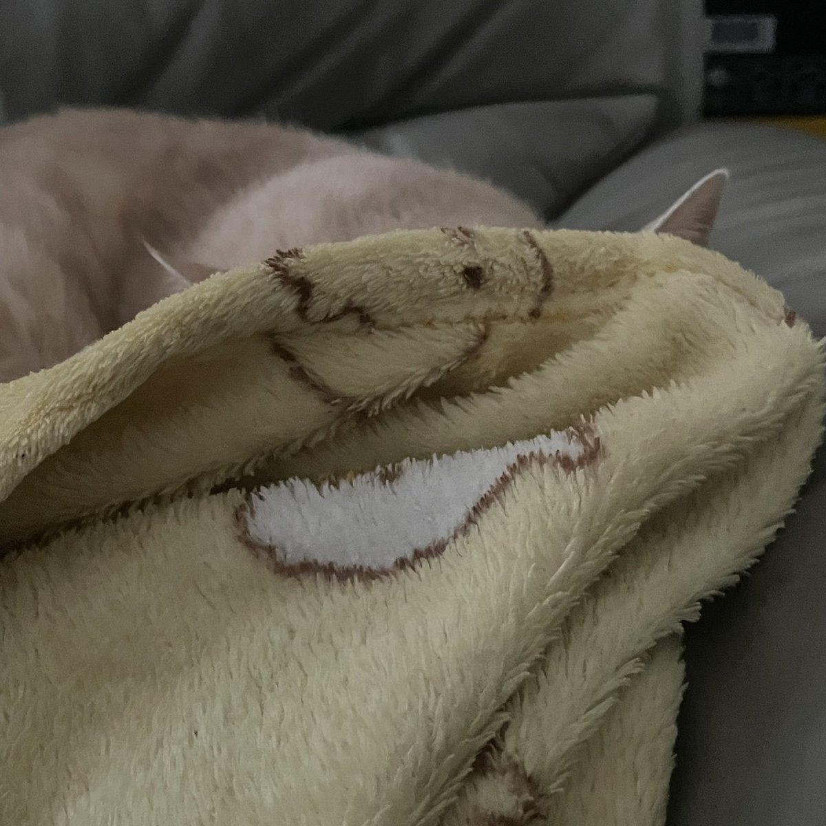 withmypotato's tweet photo. 감자 없다 https://t.co/5h5ItgvPvH