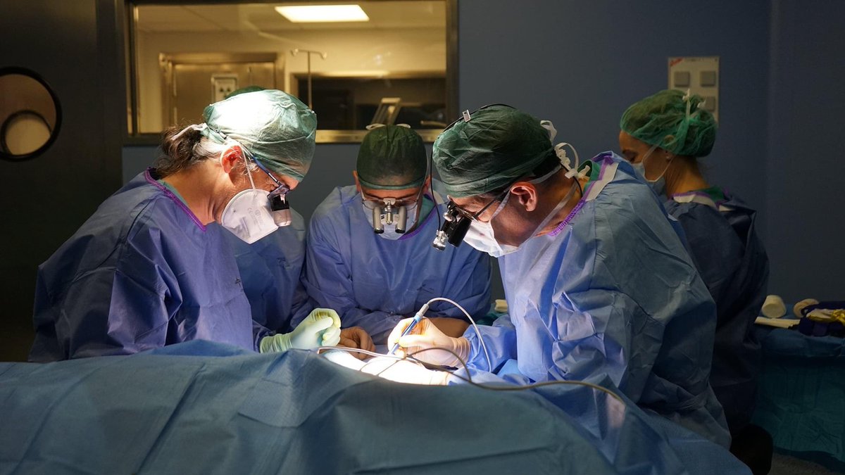 drfpinal's tweet photo. El #Instituto de #CirugíaPlástica y de la #Mano #DoctorPiñal y Asociados está compuesto por un #equipo multidisciplinar de #cirujanos especializados en #cirugíaortopédica y #traumatología articular (hombro, muñeca, codo, rodilla y tobillo) y de las #extremidades (mano y pie) https://t.co/P6seTX6Gqb