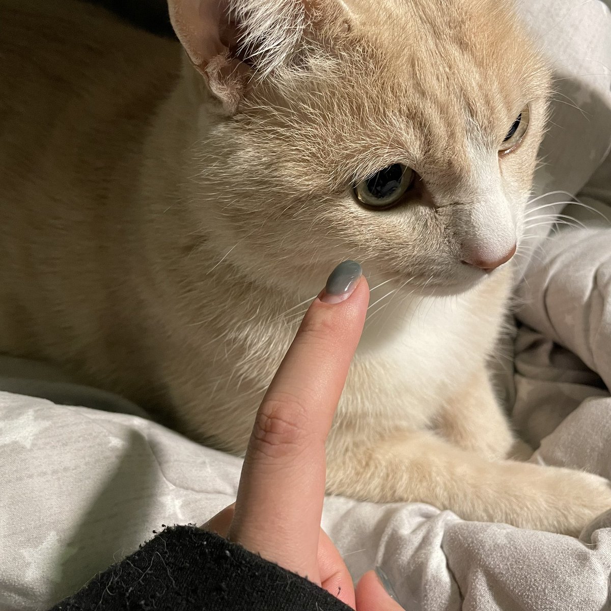 withmypotato's tweet photo. 턱브이해줘.. https://t.co/hQ8IyTp8Z3
