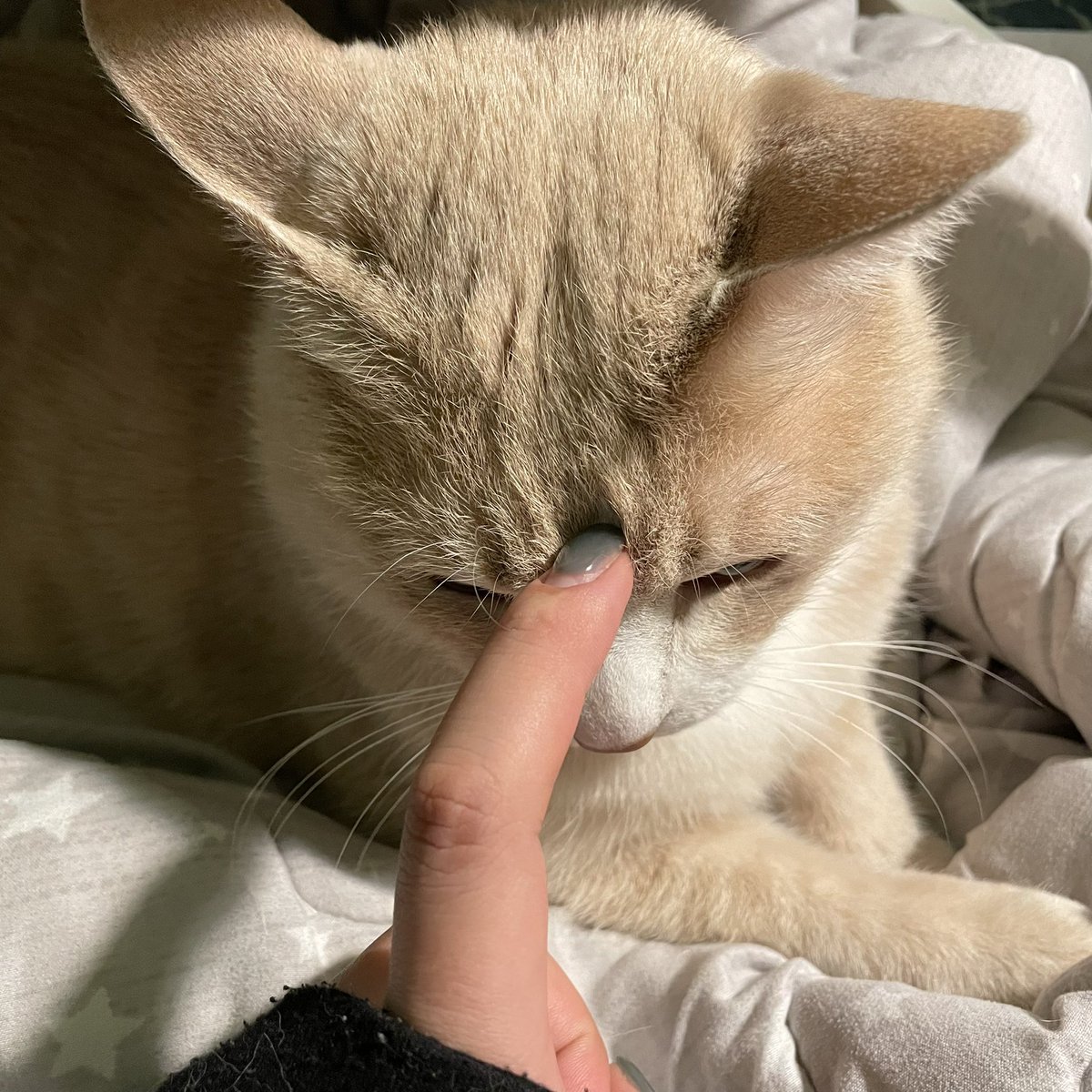 withmypotato's tweet photo. 턱브이해줘.. https://t.co/hQ8IyTp8Z3