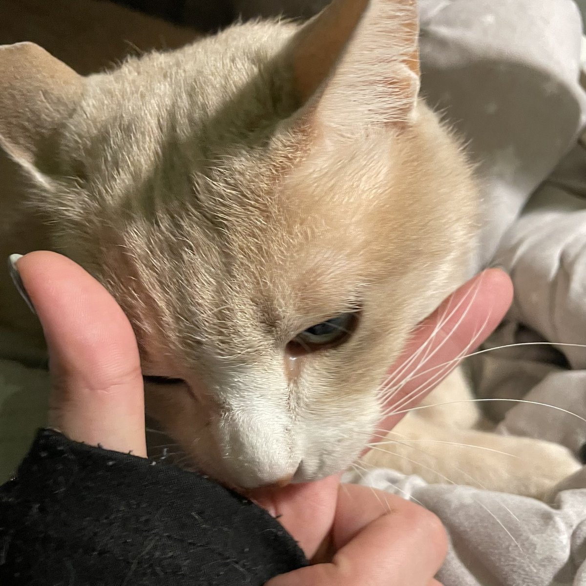 withmypotato's tweet photo. 턱브이해줘.. https://t.co/hQ8IyTp8Z3