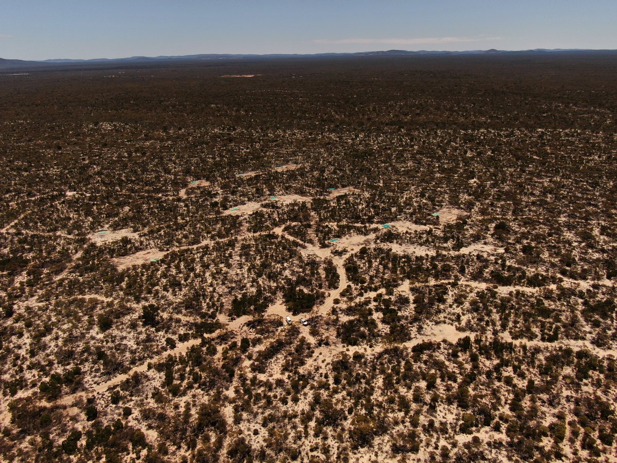 Cobra_Resources's tweet image. There is a growing demand for magnet rare earths, such as the types we have discovered, and an upward forecast in pricing.

A rare earth deposit offers Cobra shareholders exposure to multiple high value and high demand commodities in close spatial proximity.

#COBR #rareearths