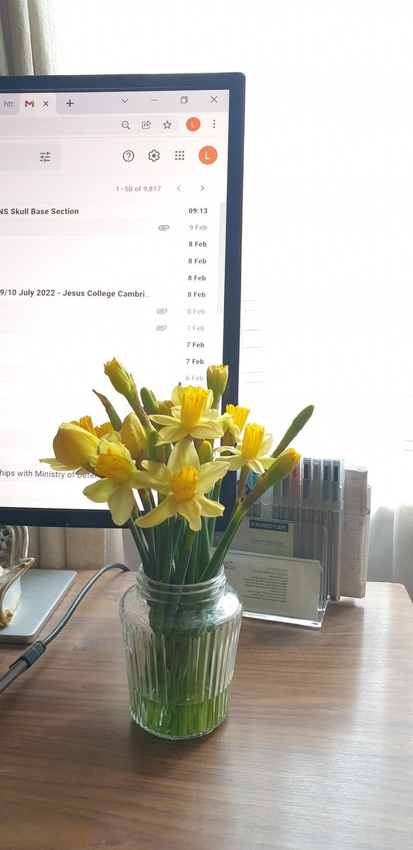 Isn't it lovely when a bunch of daffodils open right before your eyes?  💛

#WritingCommunity #writingcompanions