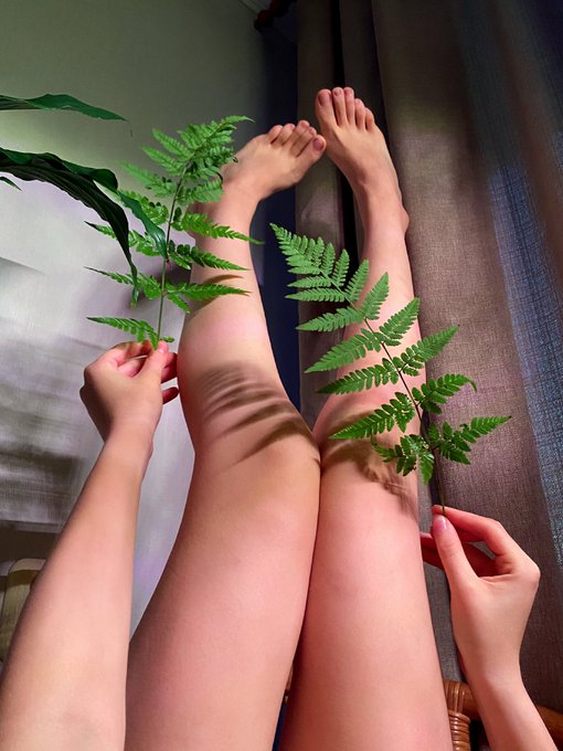 #fern #legs https://t.co/np3MsNHevT<a href="/tag/fern"class="tags">#fern</a><a href="/tag/legs"class="tags">#legs</a>
