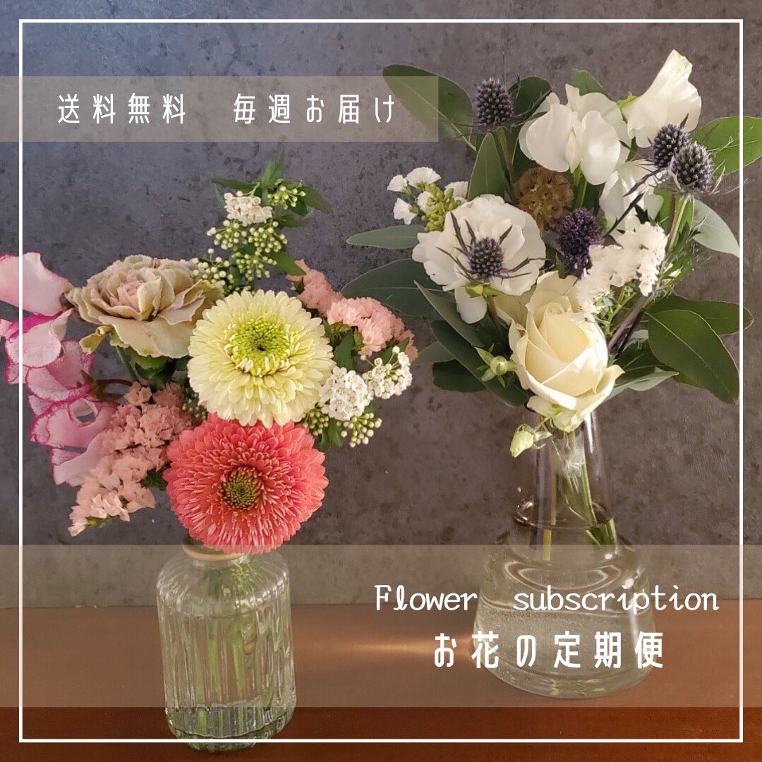 littleseed__'s tweet photo. お花の定期便はじめました！【送料無料】
季節を感じるフレッシュなお花を皆様のもとへお届け！ 
お花の質にこだわり、長くお楽しみ頂けるお花を仕入れしております！
#サブスクライフ
#サブスク
#サブスクリプション
#お花の定期便始めました
#お花の定期便
#インテリア
#お花好きな人と繋がりたい https://t.co/h6QVrMSWSY