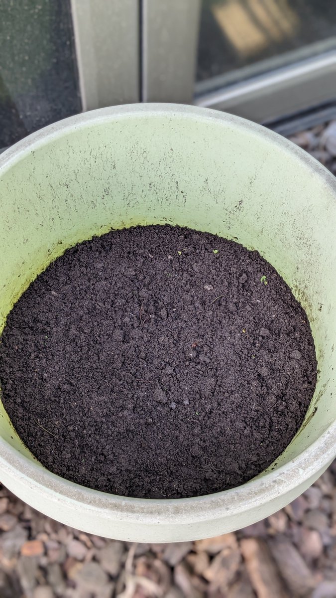 aitoraznara's tweet photo. Las semillas están plantadas, sólo la más fuerte prevalecerá, cuál saldrá?
#bilbostack22 #codegardening #agileseeds https://t.co/t0TtqjBvzU