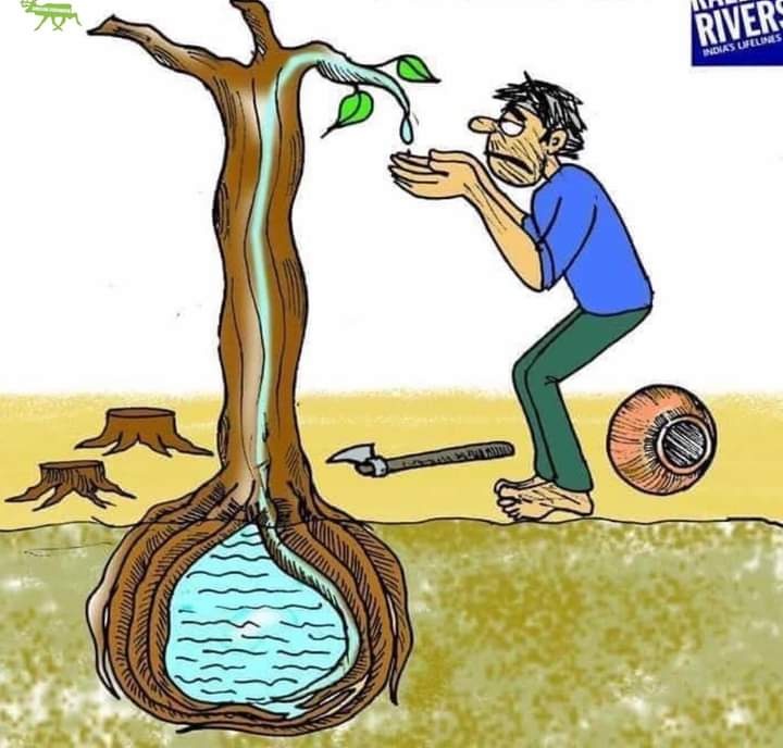LalBaluch's tweet photo. Let's be green ! 😶
.
.
.
.
.
#GreenPlanet #Greenpeace #trees #watershortage #deforestation #LetsBeSafe #LetsBeGreen #ClimateEmergency https://t.co/HFhIe6i86y