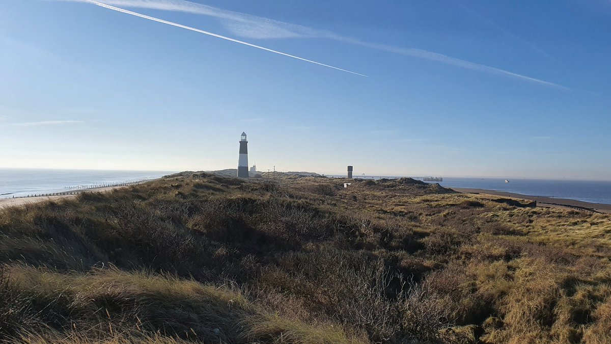 GeomorphicJosh's tweet photo. Now then, when it comes to #TeamSpit, surely those based around East Yorkshire can boast of the mighty @YorksWildlife's #Spurn - extending out into the Humber and forming a rich habitat for wildlife and perfect place to clear away the cobwebs #BSGLOL https://t.co/m6apijRxnx