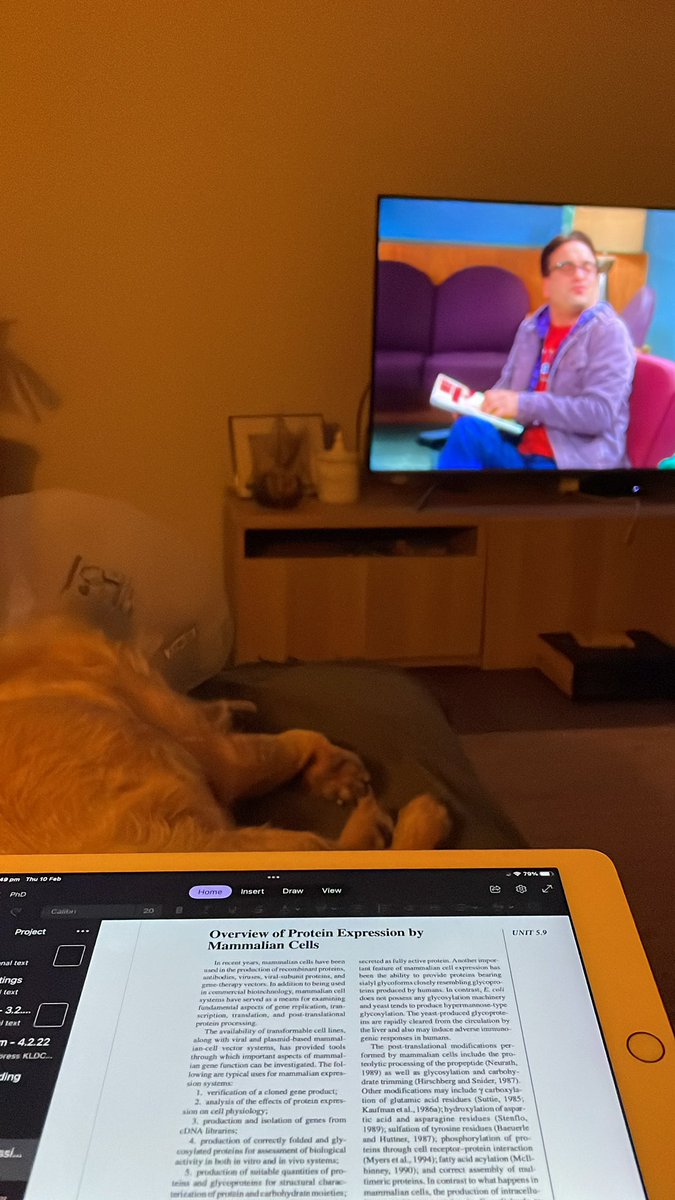 CourtTheCurious's tweet photo. Does anyone else work better at night, or is that just me?

#firstyearPhD #journalreading #phdjourney #AcademicChatter #justphdthings https://t.co/NM0F9VHpPD