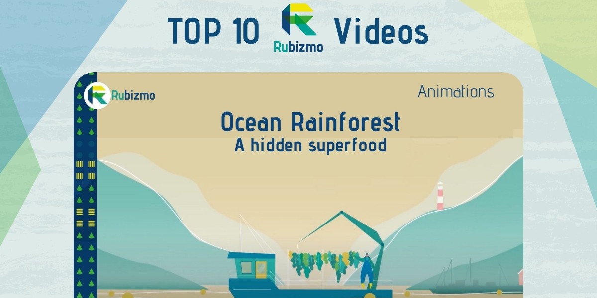 Celebrate with us the most popular RUBIZMO YouTube Videos! 
🌊 Nr. 6 drags you to the Faroe Islands where <a href="/ORainforest/">Ocean Rainforest</a> cultivates seaweed! 

🎥  fal.cn/3m2Bj

Discover even more about this business case: fal.cn/3m2Bk

#bioeconomy #H2020 #ruralbusiness