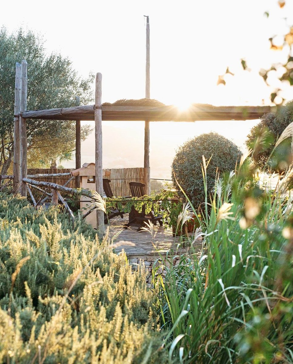 There are so many health benefits to nature, including bettered moods, improved memory and even quicker healing times. 🍃⁠
⁠
Read about the practise of nature bathing and tips on how to do so easily on our blog.⁠