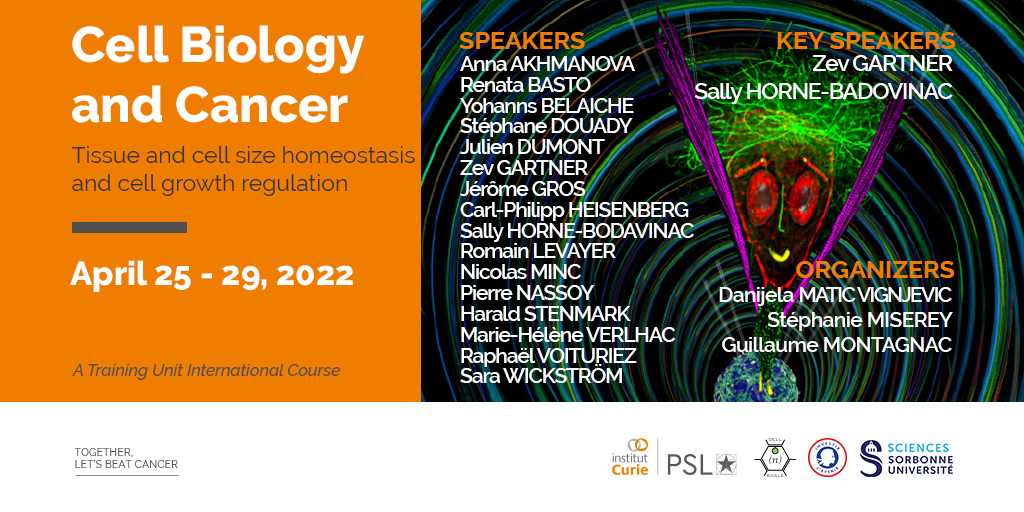 Great news! Registration for our 4th Cell Biology and Cancer course is now open 🙌 📆 This course will take place on April 25-29, 2022 ❗ Registration deadline: March 6, 2022 Join us! ⤵️ training.institut-curie.org/courses/cell-b…