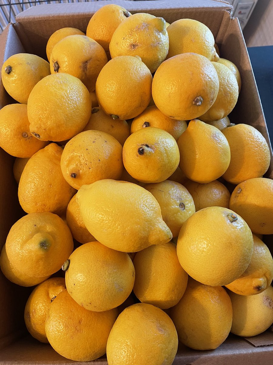 allabout_lemons's tweet image. Thanks to Boozy Events for a surplus batch of lemons. Busy day in the kitchen today making marmalade with some of them and experimenting with some new wonky lemon cake recipes plus a lemon tray bake.