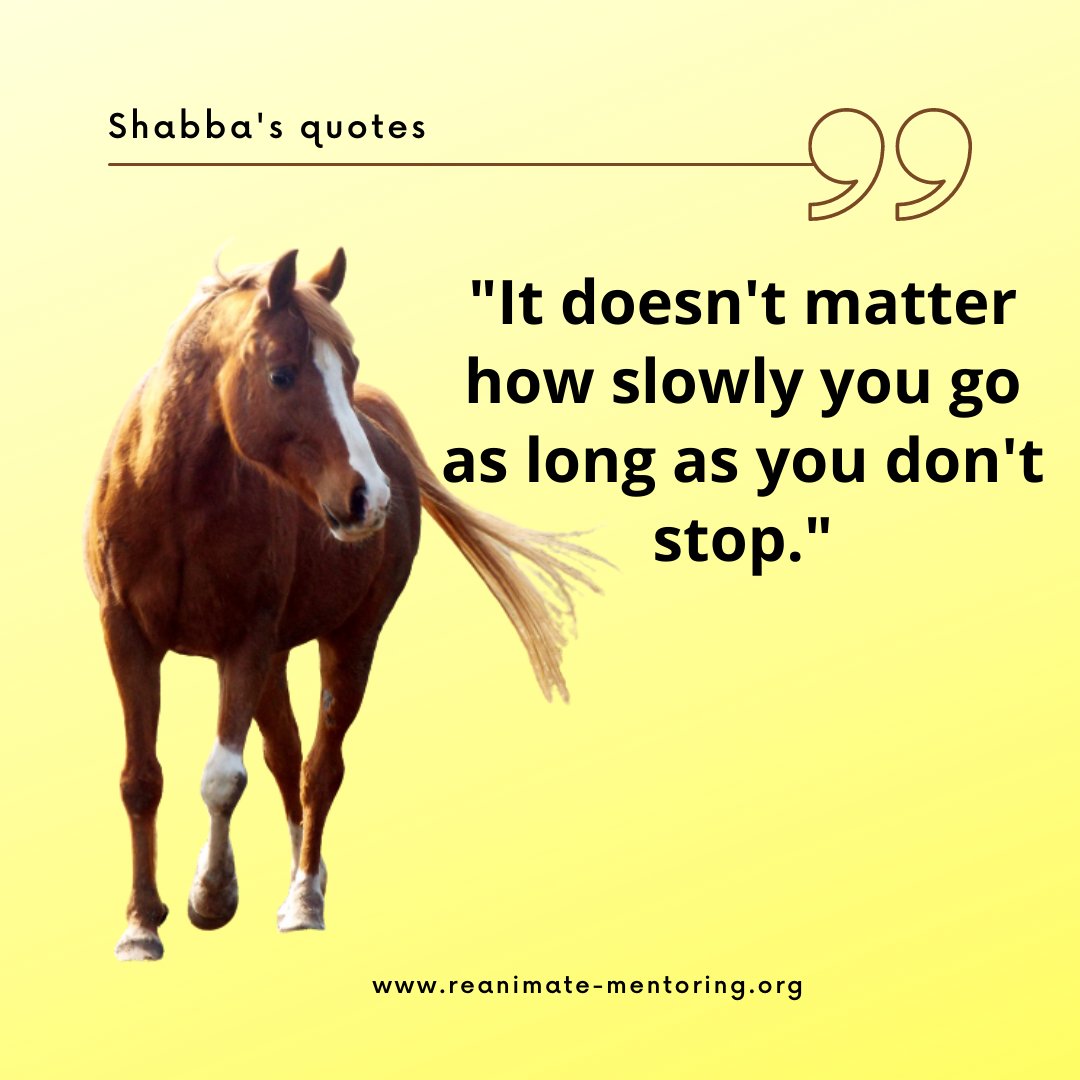 re__animate's tweet photo. Sometimes we may feel we aren't progressing fast enough, but remember, a little progression is better than none 🥰 #animalcharity #animal #stirling #charityuk #charitywork #animalwelfare #mentalhealthmatters #animalsanctuary #charity #believeinyourself #mentalhealthawareness https://t.co/315VUPL82K