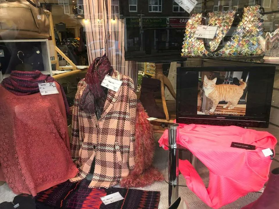 RomneyCats's tweet photo. Come grab a bargain and support our #cats at our Petts Wood Shop #helpingcatsinneed #charityshopping #ThriftShopFinds https://t.co/kOxZTMIy8J