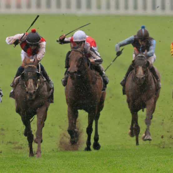 These man been whipping horses infront of the queen and they saying sack Zouma LOOOOOOOOOOOL