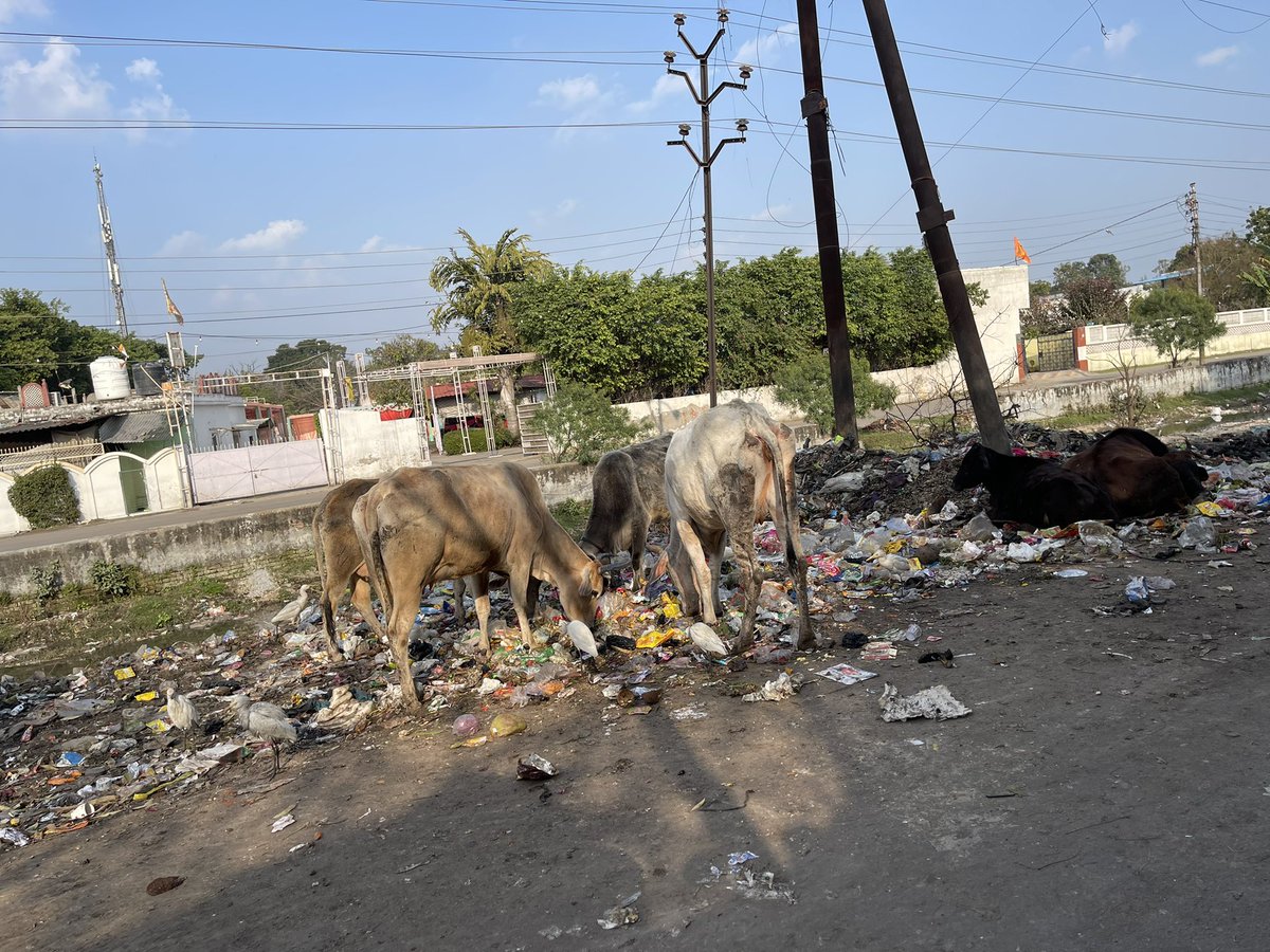 manujgargbjp's tweet photo. Meerut smart Cantonment Area 
Garbage dumping near residential area 
#SwachhBharat 
@narendramodi_in
@narendramodi 
@PMOIndia 
@rajnathsingh @MP_Meerut @swachhbharat @myogiadityanath @cbmeerut https://t.co/cb4BzCg8jy