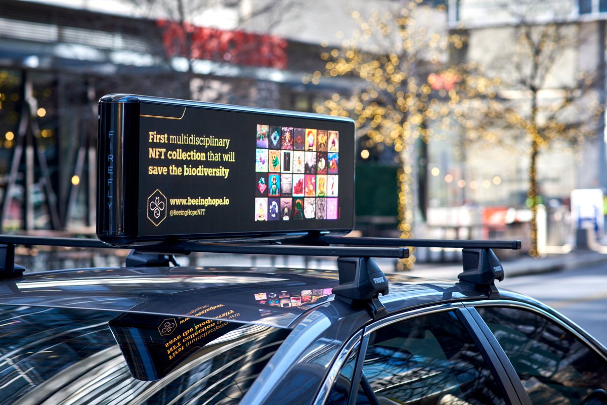BeeingHopeNFT's tweet photo. 📣📣Beeing Hope NFT's are buzzing all around the world 🐝🐝
Our bees are thankful to @Firefly_Cities  in the US 🚕🚕

#AVAX #NFTs #beeinghope #NFTCommunity https://t.co/ecJTDdgYhz