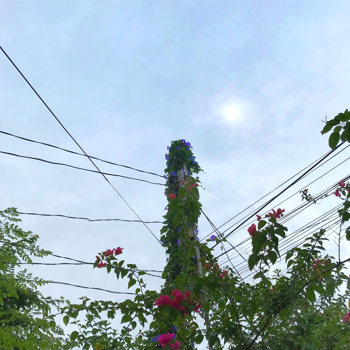 𝐎𝐔𝐓 𝐀𝐓 𝐌𝐈𝐃𝐍𝐈𝐆𝐇𝐓: Lynel.Live - "For Sure"
▶️ bfan.link/for-sure
📺 youtu.be/souuCcJ6hHM
#NewMusic