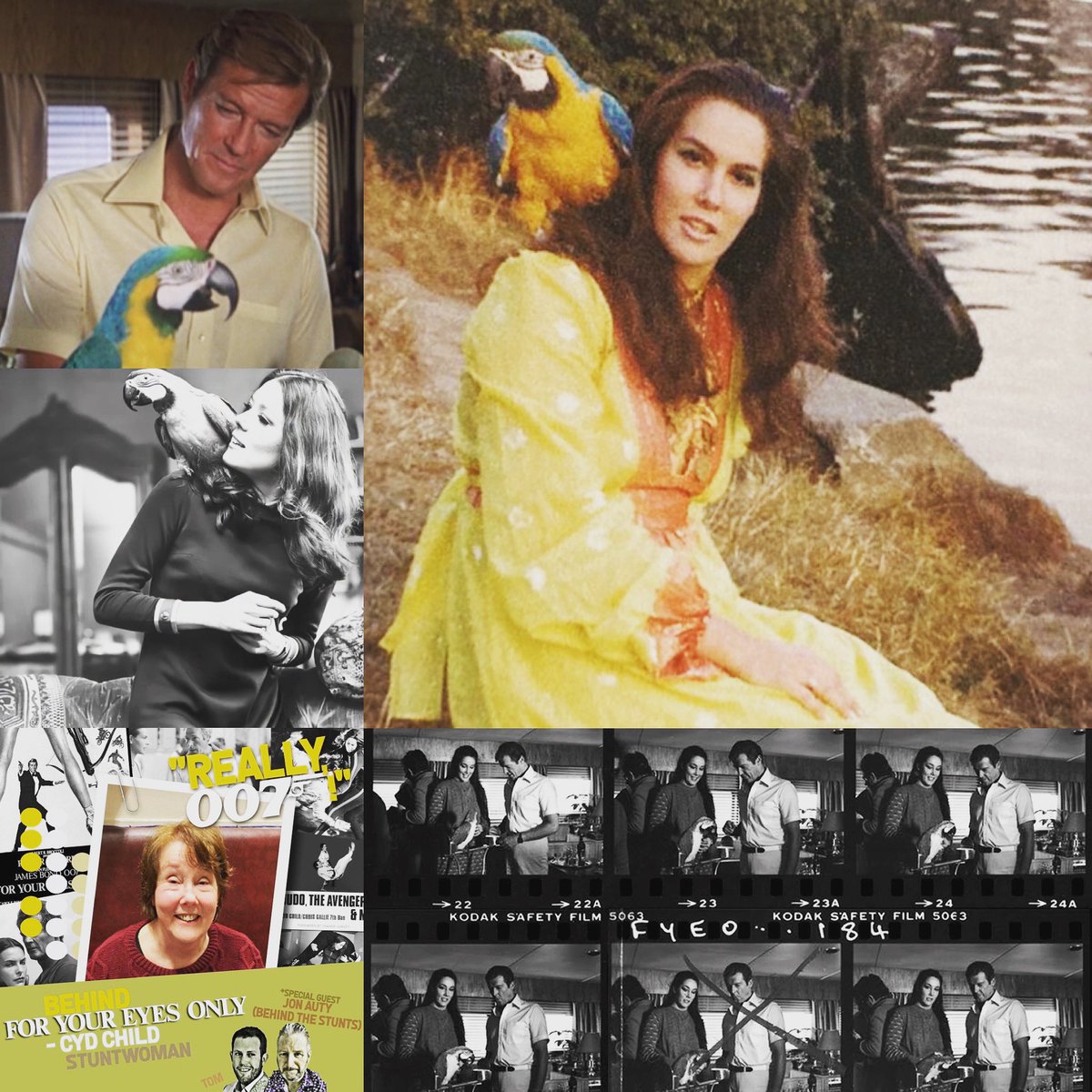 Really007pod's tweet photo. Cyd Child inherited Chrome from Diana Rigg, but we know him better as Max the parrot from #ForYourEyesOnly (and #TheLivingDaylights!) Hear more about his story in our interview… #JamesBond

🎥 https://t.co/d36PCxC5zr
🍎https://t.co/3YTt67cqbk
🎧https://t.co/gJKxRgSpwZ https://t.co/AzKddFVE6E
