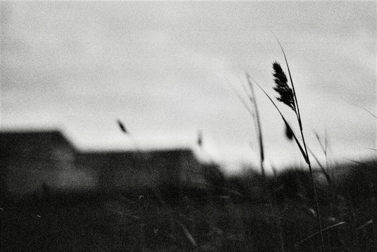 DesignProcess's tweet image. 📷 Nikon FE2
🎞 Neopan 1600