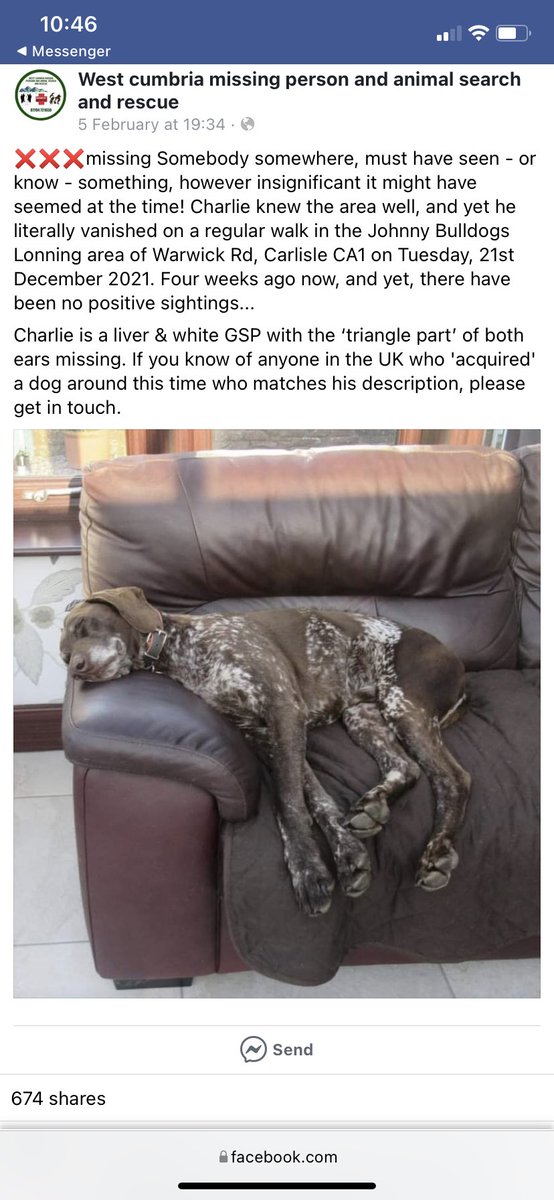 RehomingCYPointers (@cypruspointers) on Twitter photo 