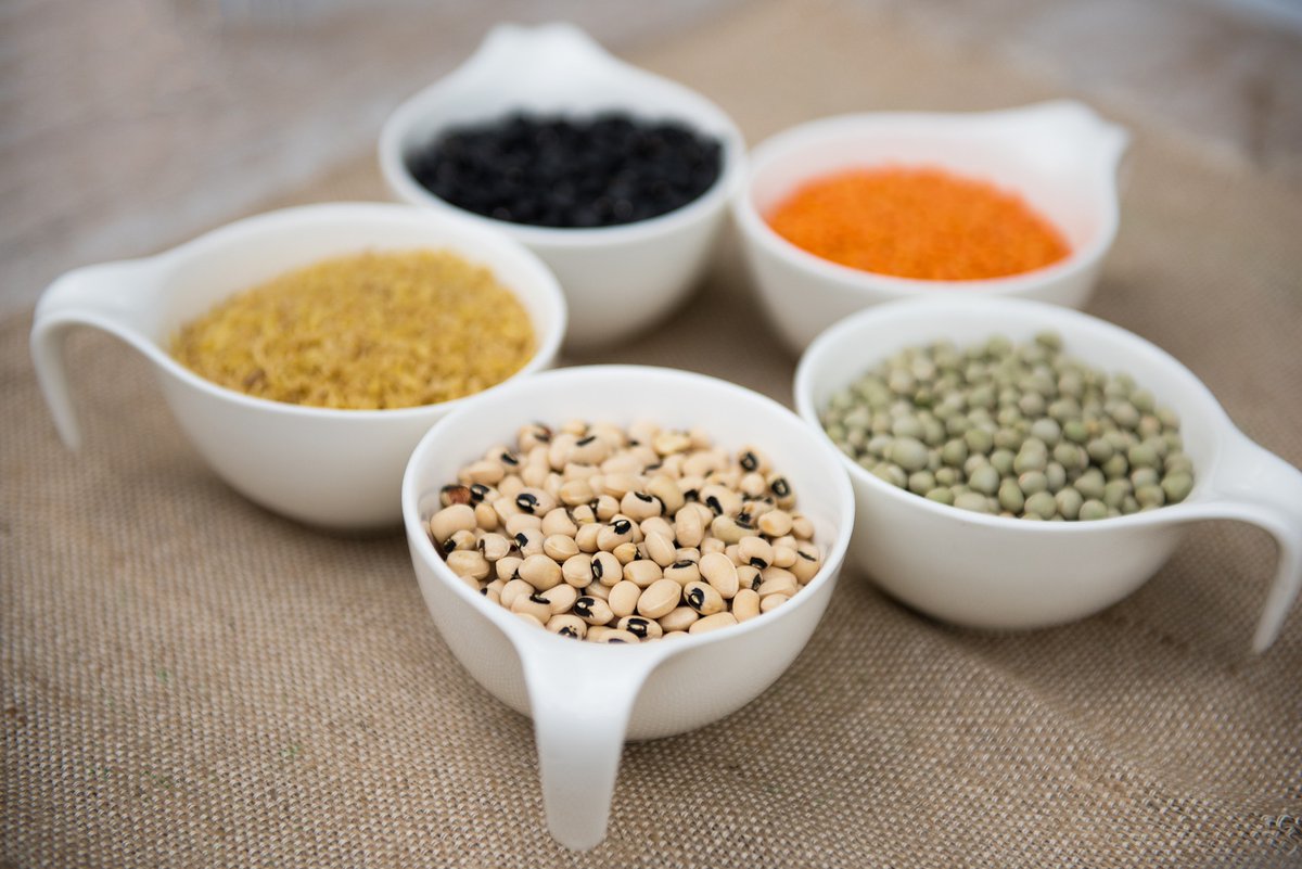 James Hutton Institute (@jameshuttoninst) on Twitter photo It's #WorldPulsesDay! We should get our fingers on pulses; these foods can be a critically important and sustainable source of nutrition globally, writes our Dr Pete Iannetta @AgroEcoatJHI <a href="/HuttonES/">ES James Hutton</a> in <a href="/TheScotsman/">The Scotsman</a> to mark the occasion scotsman.com/news/opinion/c… It's #WorldPulsesDay! We should get our fingers on pulses; these foods can be a critically important and sustainable source of nutrition globally, writes our Dr Pete Iannetta @AgroEcoatJHI <a href="/HuttonES/">ES James Hutton</a> in <a href="/TheScotsman/">The Scotsman</a> to mark the occasion scotsman.com/news/opinion/c…