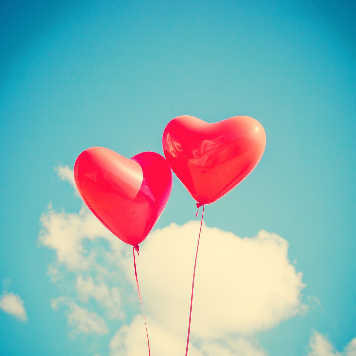 Wij zijn op zoek naar mensen met een bijzonder liefdesverhaal voor een artikel op Valentijnsdag. Ben jij doof of slechthorend, of jouw partner? Of jullie allebei? En wil je iets over jullie relatie vertellen op Doof.nl? Reageer dan, of mail naar redactie@doof.nl.