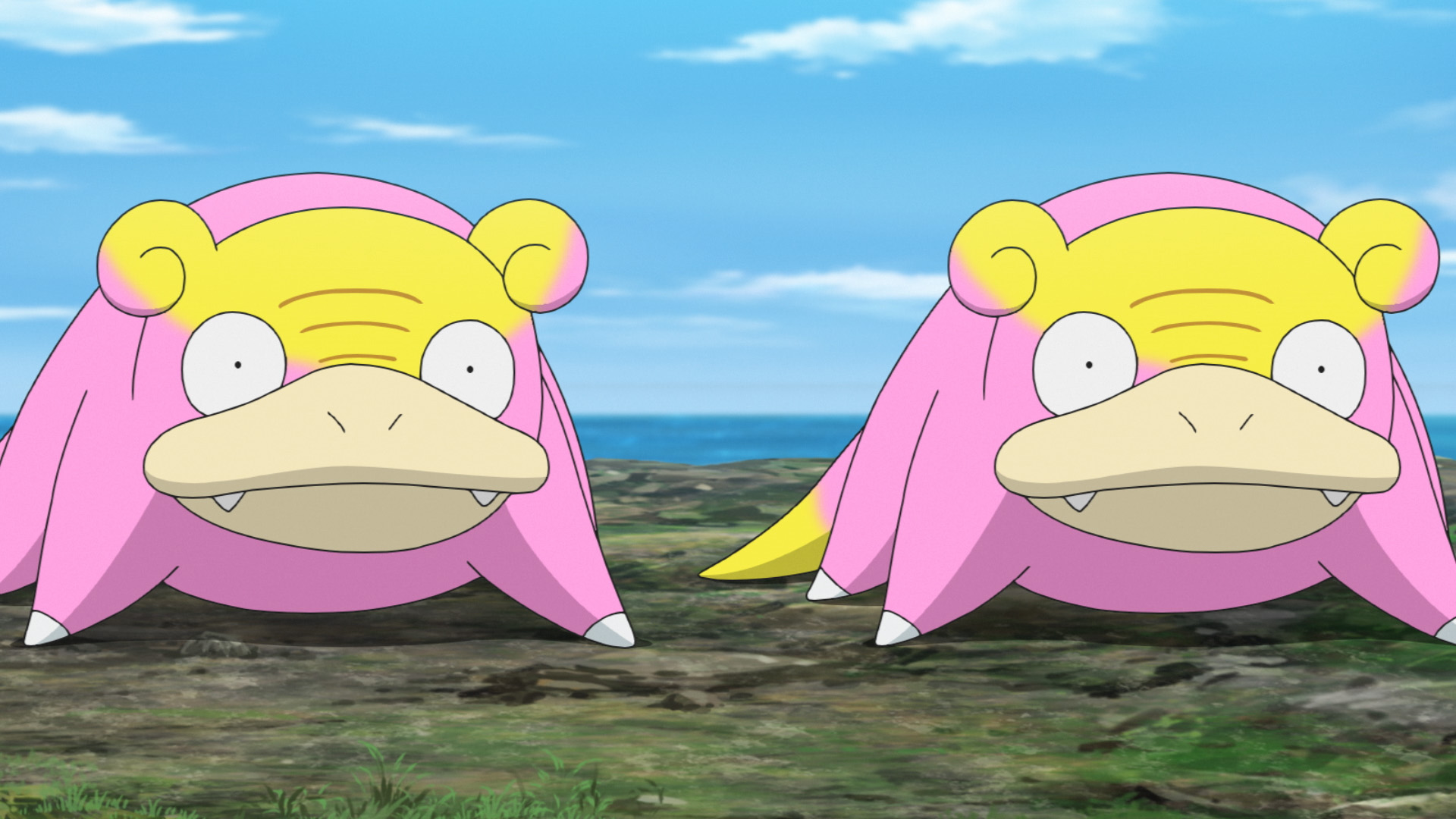 アニメ ポケットモンスター 公式 Twitter પર アニポケ 第97話 ヤドキング カレーなる遭遇 サトシとゴウが訪れたヤドンの島に とある浮島が衝突し なんとガラルの ヤドン ヤドラン ヤドキング たちが上陸 どうやらヤドンの島のみんなと仲良く