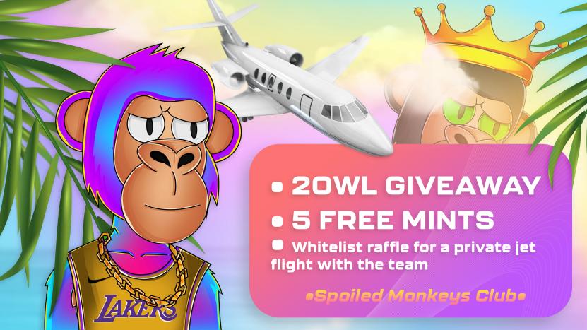 Spoiled Monkeys Club tweet media