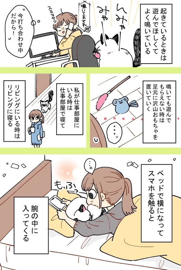 猫を飼ったら「想像してたのと違った」 理由に猫飼いから共感の嵐! https://t.co/ZAC9Gk6jJ9 @grapeejpより 