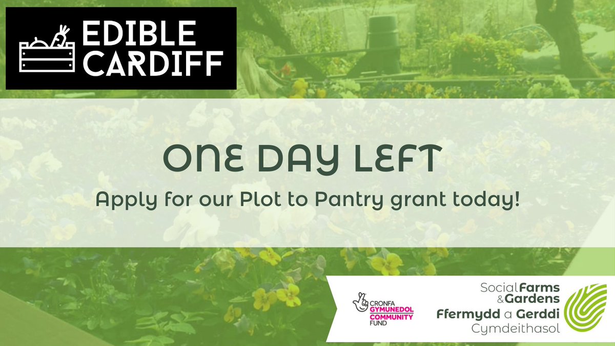 ⏳⏳⏳ 1 DAY LEFT TO APPLY! ⏳⏳⏳

Applications for our #PlotToPantry grant close tomorrow, Friday 11th February - get your applications in today! More information below 🔽
ediblecardiff.org/good-news-stor…

#CommunityGrowing #Gardening #Community #Cardiff #Wales #FoodGrowing #Grant