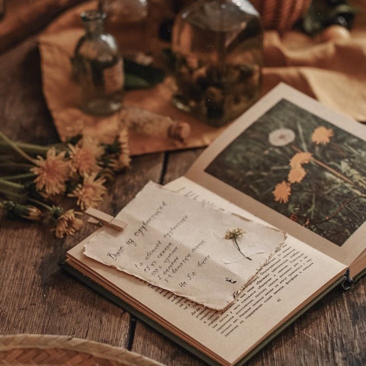 HufflepuffHimbo's tweet image. ⠀⠀   

⠀⠀    —————— ☼ ——————
      How many roads must a boy walk
      down before he becomes a man?
⠀⠀    —————— ☼ ——————

         ᴍᴀʀᴀᴜᴅᴇʀꜱ ᴇʀᴀ #ʜᴘʀᴘ | #ᴀʀɪᴇʟ ⠀⠀   ⠀⠀   ⠀⠀