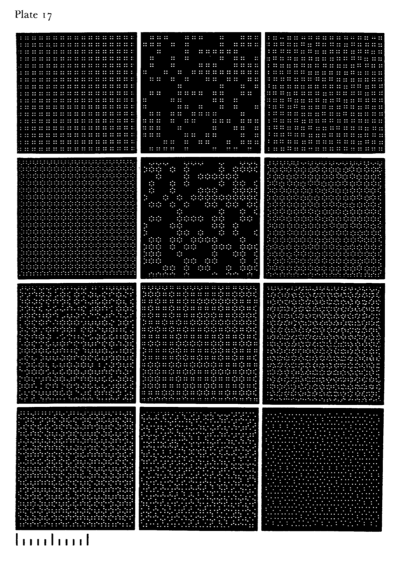 Present & Correct tweet media