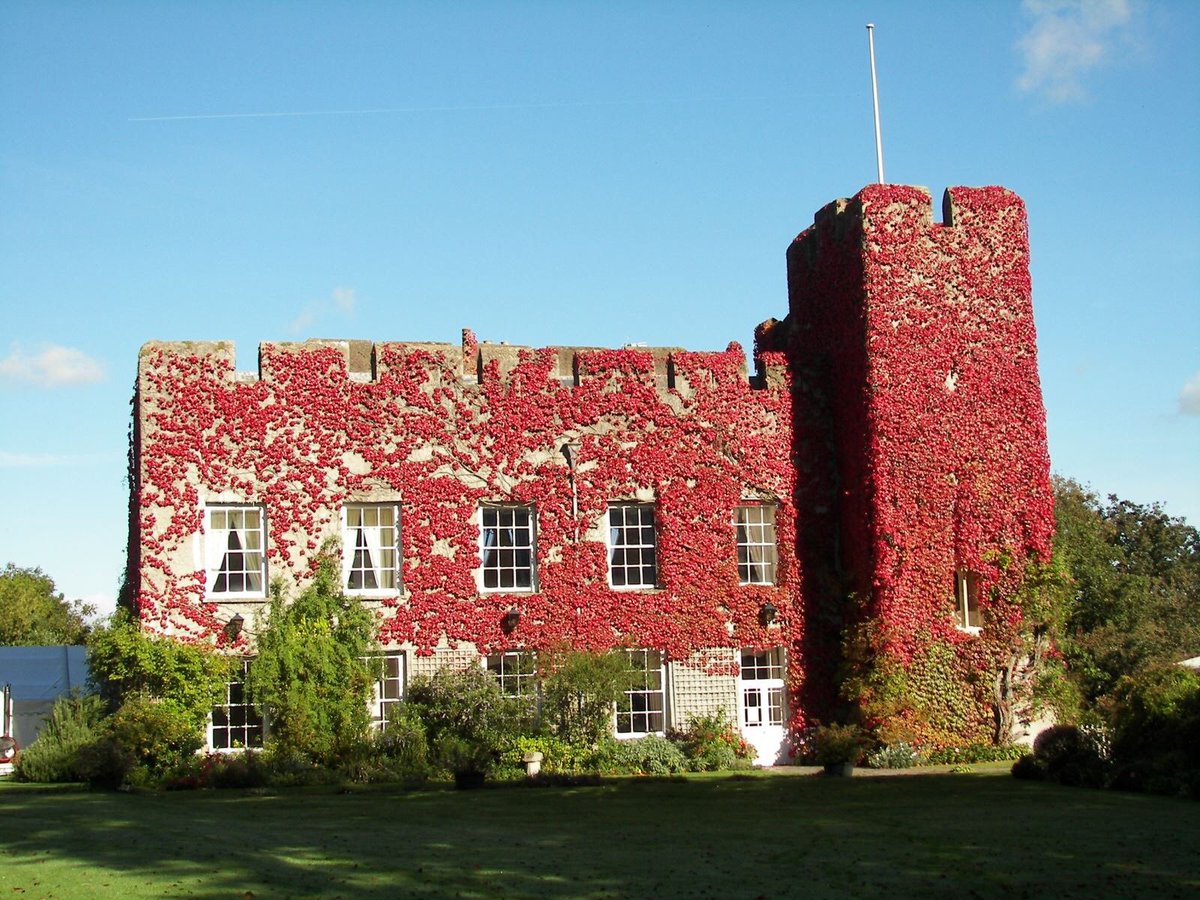 Food Vale | Bwyd Y Fro tweet media