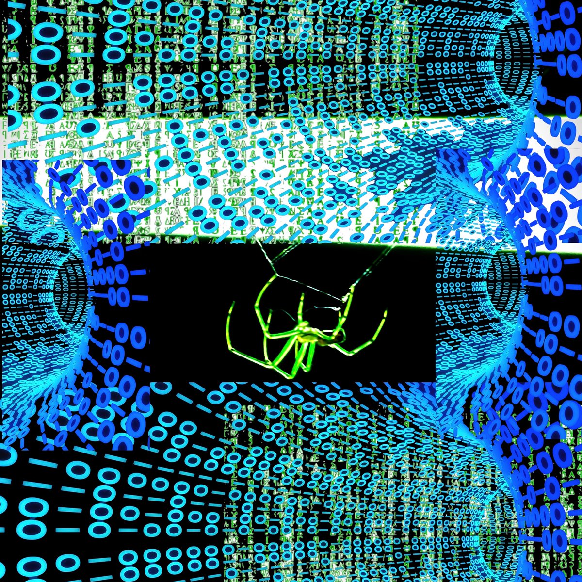 JonteYulo's tweet photo. Coding spider matrix fan-made album art @DarkTerminalSol #DarkTerminalSol https://t.co/9R4TjAZWFq