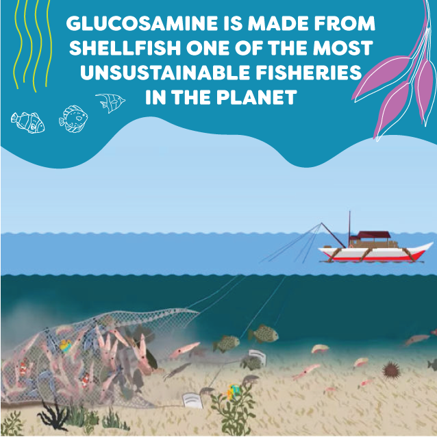 mokaipaws's tweet photo. 🦐 Glucosamine has been a key ingredient in US joint care supplements for over two decades. Today, import volumes total 7,000 – 10,000 tons per year for human and animal supplement usage.  Most of this glucosamine is manufactured from the residue of Asian shellfish production. https://t.co/0zijsTDkWt