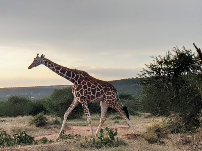 U.S. National Science Foundation tweet media